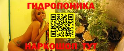 МДПВ Кохма