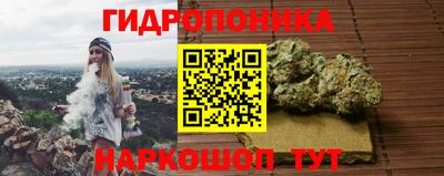 СК Кудрово