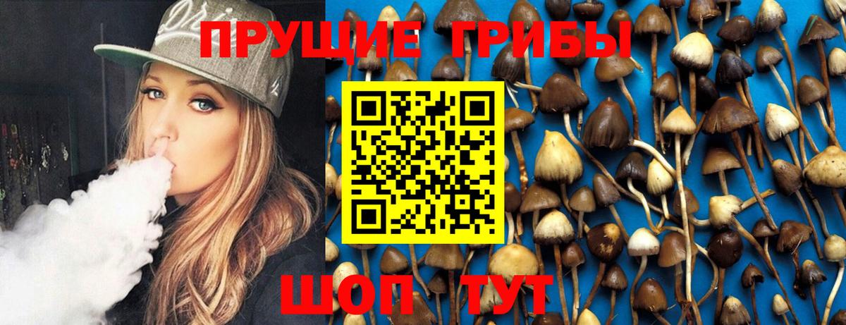 Галлюциногенные грибы GOLDEN TEACHER Дивногорск