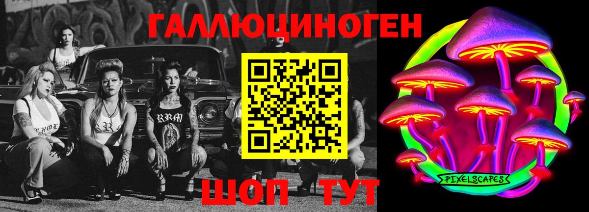 Псилоцибиновые грибы Psilocybe  Галлюциногенные грибы Psilocybine cubensis  Дивногорск  Вход с VPN 